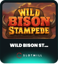 Wild Bison Stampede